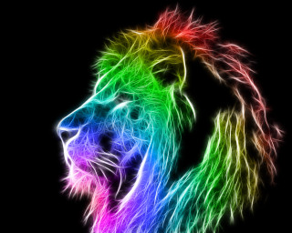 Colorful lion black background rainbow - digital art free wallpaper