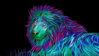 Colorful dog psychedelic glowing digital - psychedelic free wallpaper for desktop