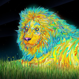Colorful lion grass night full - the grass free wallpaper