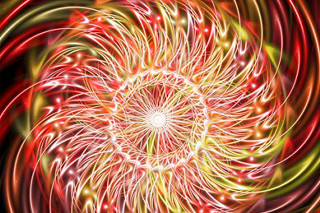 Red yellow flower black background 4 - a computer free wallpaper