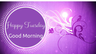 Purple flower happy tuesday morning - a purple background free wallpaper