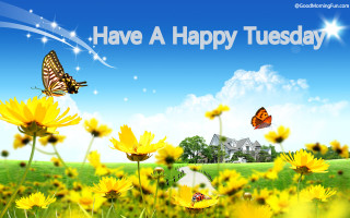 Yellow flowers butterfly house blue 2 - david ramsay hay free wallpaper