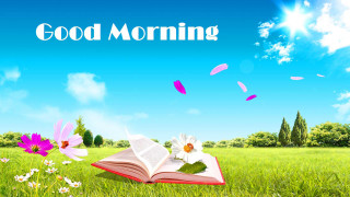 Book lush field flowers butterflies - lush free wallpaper