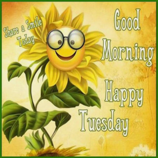 Sunflower glasses good morning happy - smiling free wallpaper