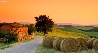 Road haybales tree middle scenery - a jigsaw puzzle free wallpaper for desktop