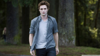 Man walking forest trees background - ed benedict free wallpaper
