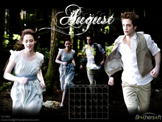 Running forest group august photo - a picture of a group free wallpaper