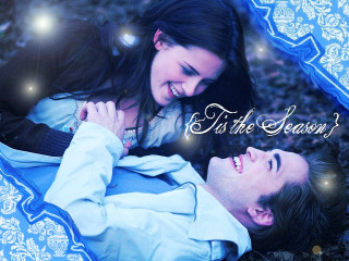 Couple blanket tis the seasons - the picture free wallpaper