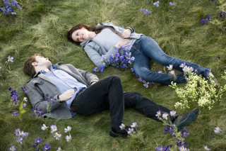 Couple people laying field flowers - flower and grass free wallpaper