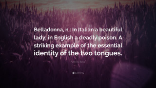 Quote italian writer famous inspiration - famous free wallpaper