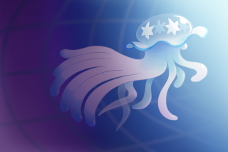 Jellyfish stars head floating water - jellyfish free wallpaper