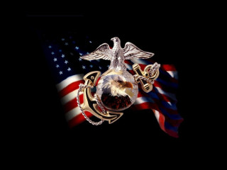 Us marine emblem eagle globe 3 - a flag in the background free wallpaper