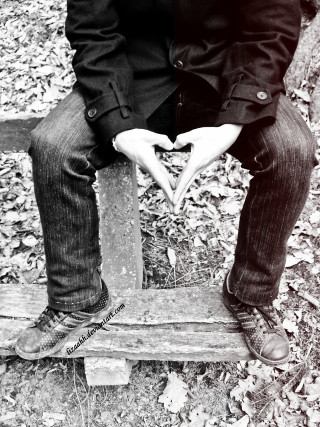 Couple bench woods hands heart - their hands in free wallpaper
