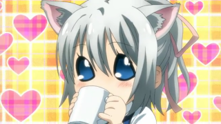 Anime cat ears character mug - ayo free wallpaper