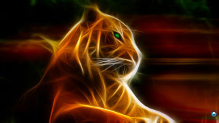 Tiger green eyes black background - alison kinnaird free wallpaper