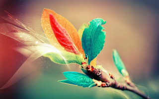 Branch flower leaves fairy butterfly - surreal free wallpaper