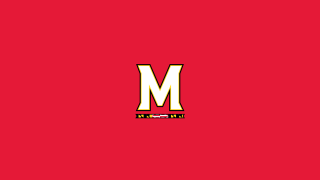 Red yellow m logo pink - madhouse free wallpaper