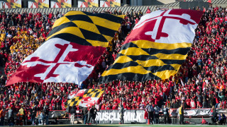 Group people field flags crowd - turnaround free wallpaper