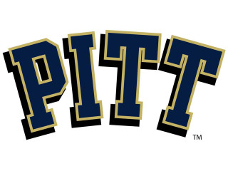 Pitt gold blue white background - a black outline free wallpaper