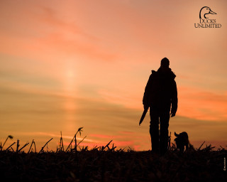 Person dog leash sunset field - a dog free wallpaper for desktop