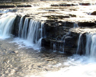 Waterfall cascading bird flying nature - alexander brook free wallpaper