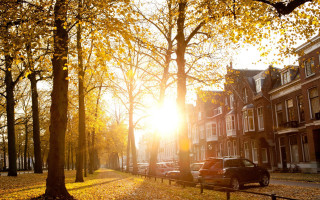 Park bench autumn leaves sunlight - a sun free wallpaper