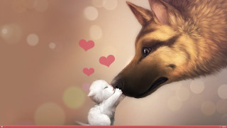 Dog cat kissing hearts background - the background of the picture free wallpaper