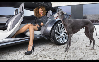 Woman car dog sitting standing - the car free wallpaper