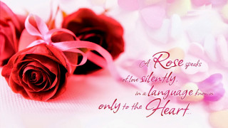 Two roses with message on - two rose free wallpaper