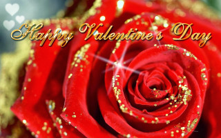 Red rose sparkle happy valentines - a happy valentines day free wallpaper