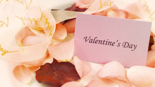 Pink card name flowers petals - romantic free wallpaper