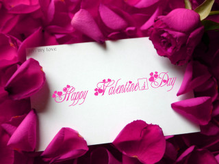 White card pink flowers happy - a happy valentines day free wallpaper