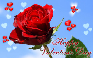 Red rose hearts floating happy - a happy valentines day free wallpaper