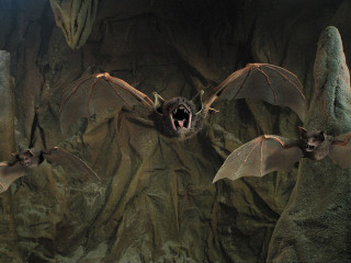 Bats rocky cave matte painting - cricorps grégoire free wallpaper