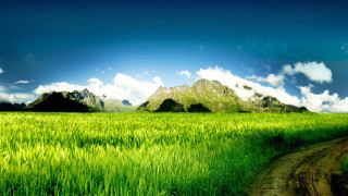 Dirt road green field mountains 2 - lush free wallpaper