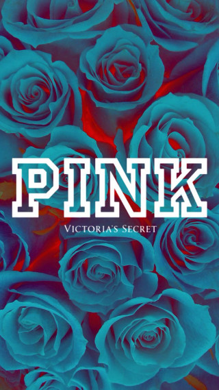 Blue roses pink victorias secret - the middle of it free wallpaper