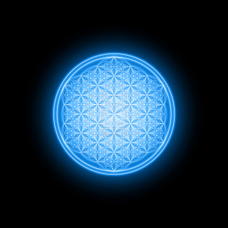 Blue flower life dark black - holography free wallpaper