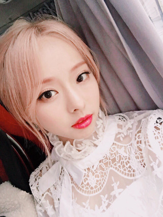 Pink hair white blouse teddy - aestheticism free wallpaper