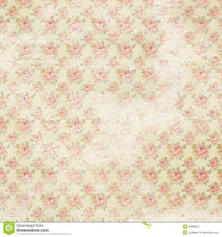 Floral background pink flowers white - a green border free wallpaper