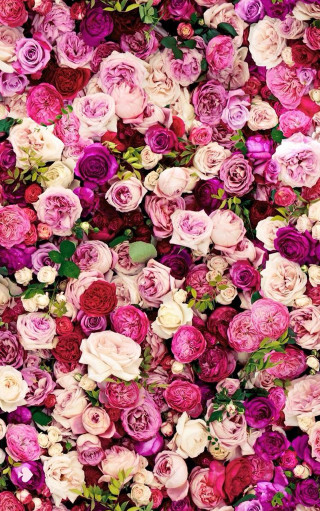 Flower bouquet wedding bride anniversary - color field free wallpaper