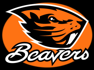 Beaver logo beavers head center - brenda chamberlain free wallpaper