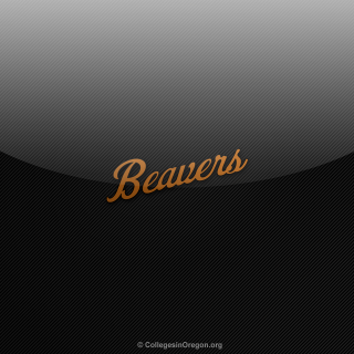 Black gold background beavers side - brenda chamberlain free wallpaper