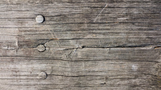 Wooden surface holes bird close 2 - cornelia parker free wallpaper