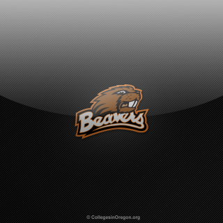 Bear logo black background brown - a brown bear free wallpaper