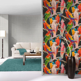 Living room colorful birds couch - bird free wallpaper