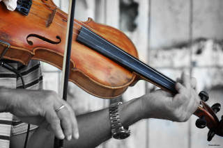 Woman holding violins black white - hand free wallpaper