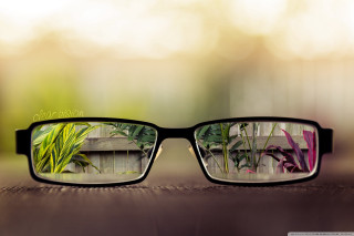 Glasses plant reflection bench macro - a pair of glasses free wallpaper