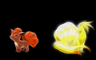 Flower cat black background light - firefly free wallpaper