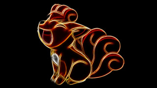 Red yellow animal black background 3 - pokemon free wallpaper