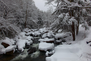 Snowy stream forest rocks trees - covered free wallpaper